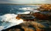 maroubra7.jpg